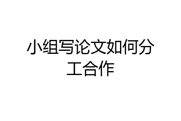 小组写论文如何分工合作