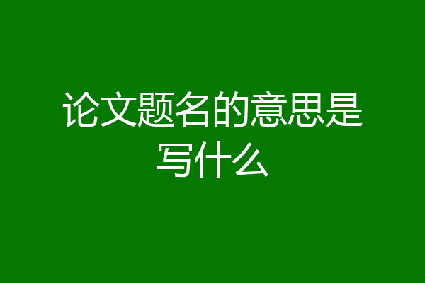 论文题名的意思是写什么