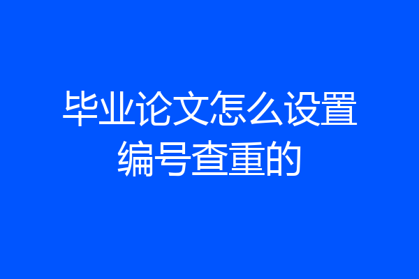 毕业论文怎么设置编号查重的