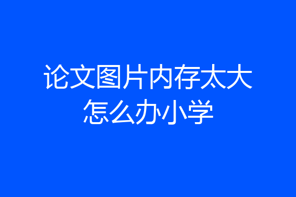 论文图片内存太大怎么办小学
