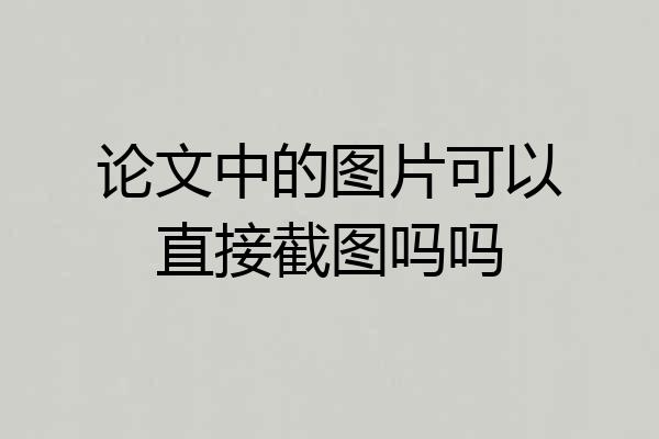 论文中的图片可以直接截图吗吗