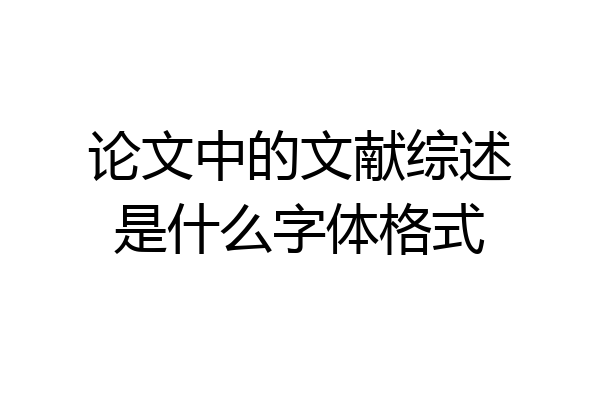 论文中的文献综述是什么字体格式