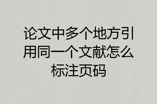 论文中多个地方引用同一个文献怎么标注页码