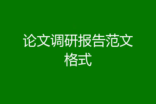论文调研报告范文格式