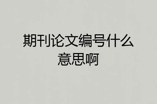 期刊论文编号什么意思啊