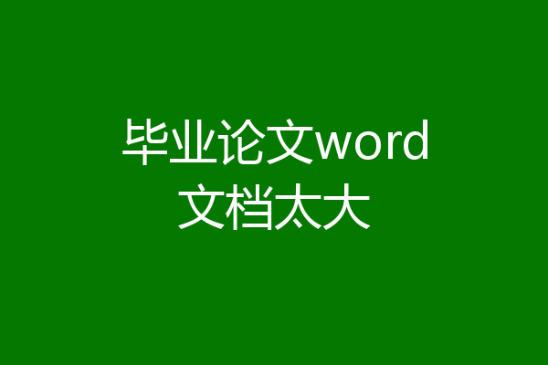 毕业论文word文档太大