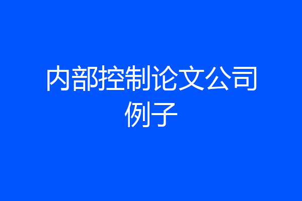 内部控制论文公司例子