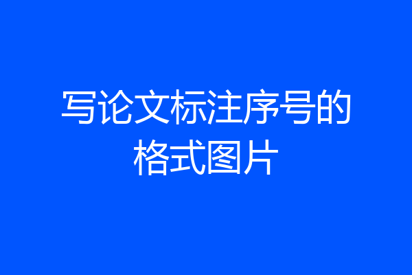 写论文标注序号的格式图片