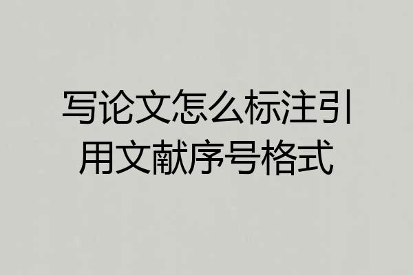 写论文怎么标注引用文献序号格式