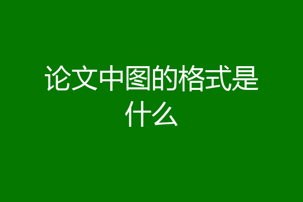 论文中图的格式是什么