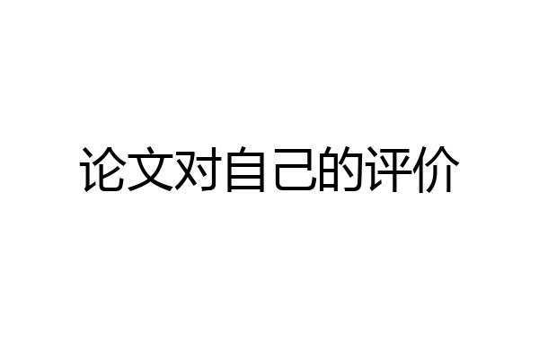 论文对自己的评价