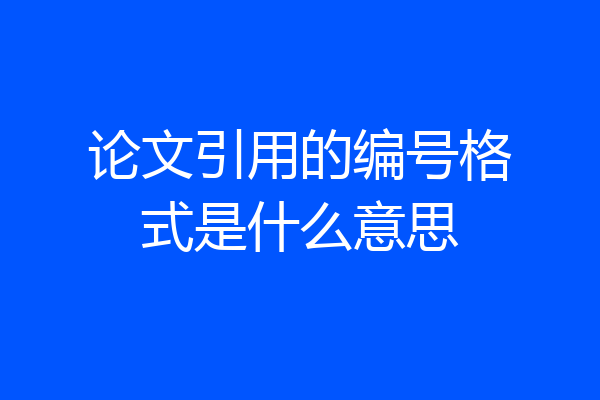 论文引用的编号格式是什么意思