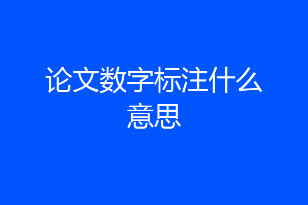 论文数字标注什么意思