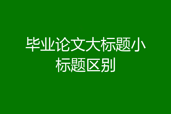 毕业论文大标题小标题区别