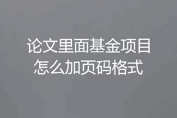 论文里面基金项目怎么加页码格式