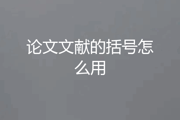 论文文献的括号怎么用