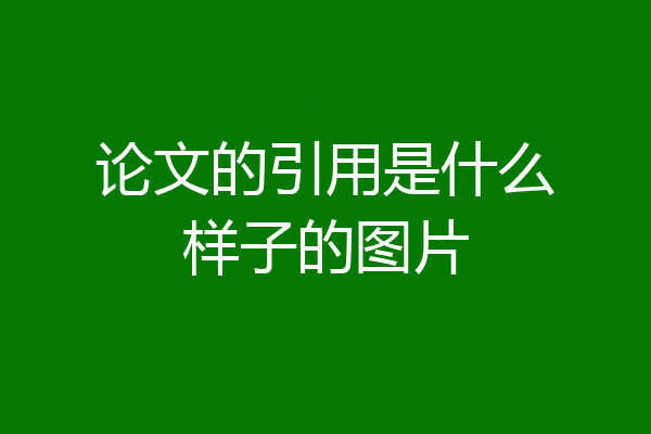 论文的引用是什么样子的图片
