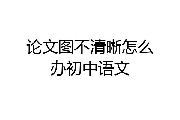 论文图不清晰怎么办初中语文