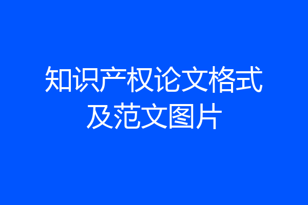 知识产权论文格式及范文图片