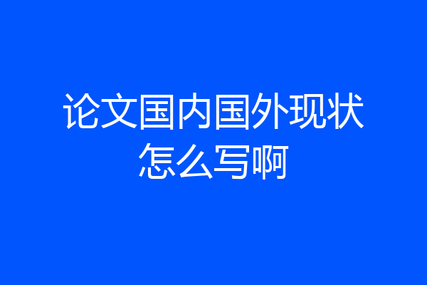 论文国内国外现状怎么写啊