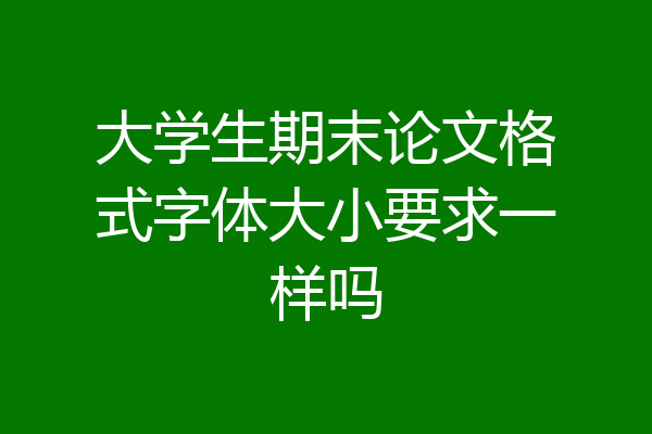 大学生期末论文格式字体大小要求一样吗