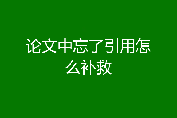 论文中忘了引用怎么补救