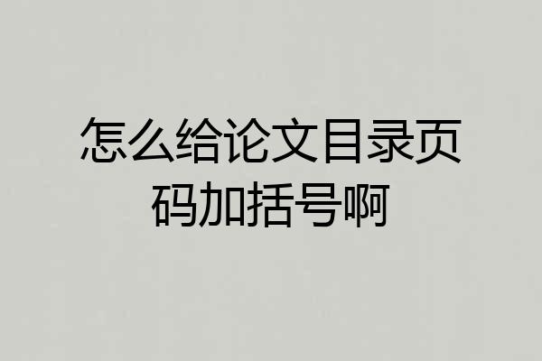 怎么给论文目录页码加括号啊
