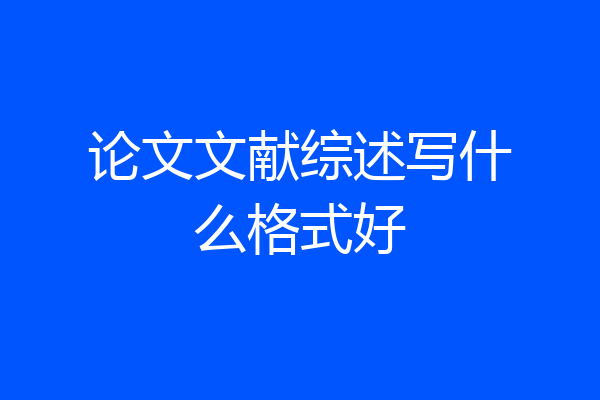 论文文献综述写什么格式好