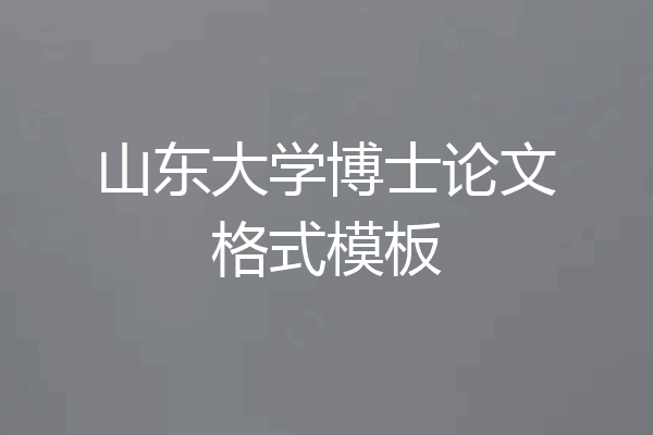 山东大学博士论文格式模板