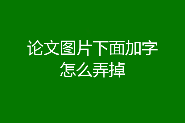 论文图片下面加字怎么弄掉