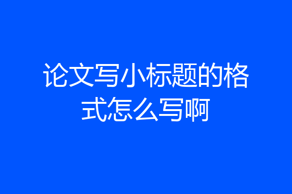 论文写小标题的格式怎么写啊