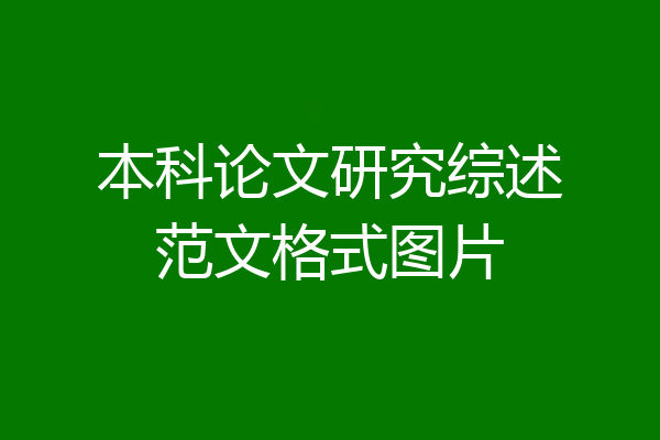 本科论文研究综述范文格式图片