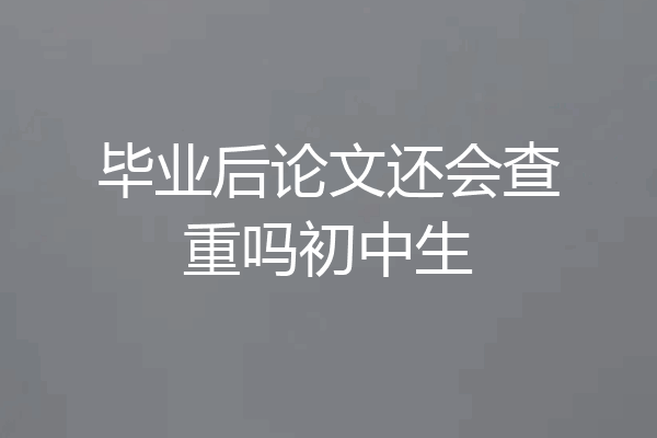 毕业后论文还会查重吗初中生