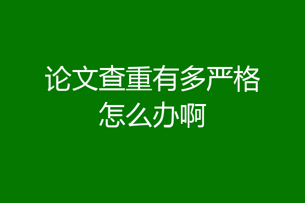 论文查重有多严格怎么办啊