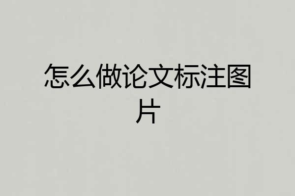 怎么做论文标注图片