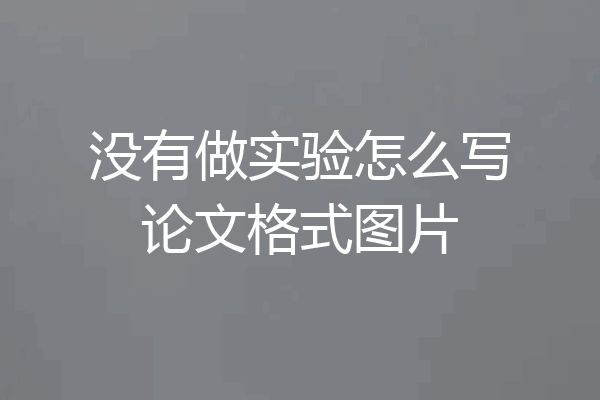 没有做实验怎么写论文格式图片
