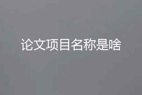 论文项目名称是啥