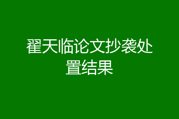 翟天临论文抄袭处置结果