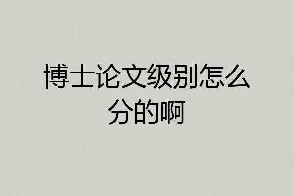博士论文级别怎么分的啊