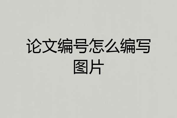 论文编号怎么编写图片