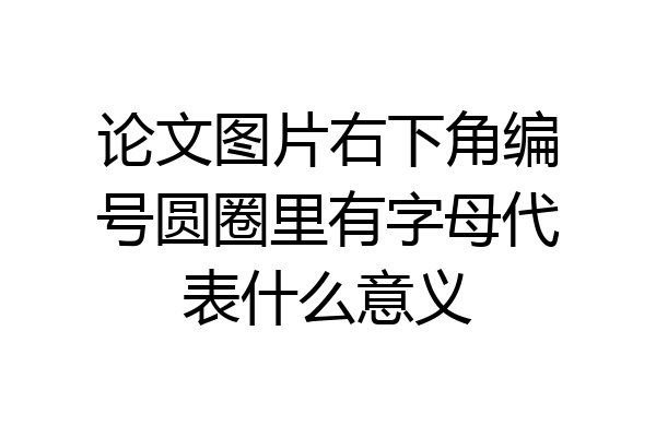 论文图片右下角编号圆圈里有字母代表什么意义