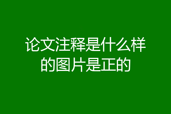 论文注释是什么样的图片是正的