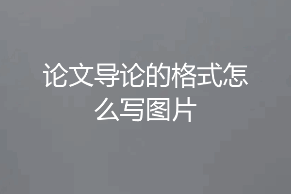 论文导论的格式怎么写图片