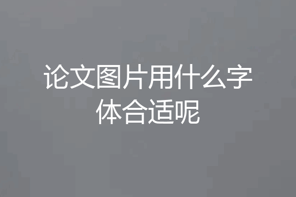 论文图片用什么字体合适呢