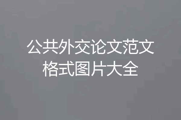 公共外交论文范文格式图片大全