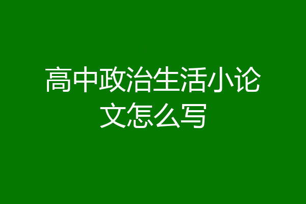 高中政治生活小论文怎么写