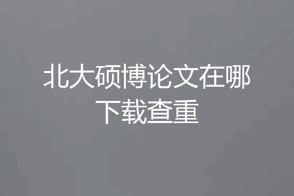 北大硕博论文在哪下载查重
