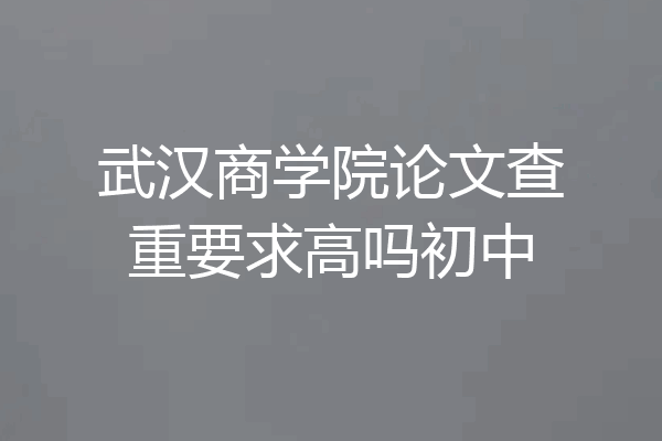 武汉商学院论文查重要求高吗初中