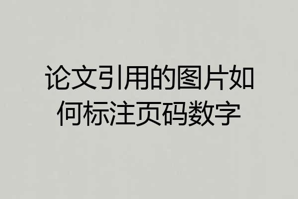 论文引用的图片如何标注页码数字