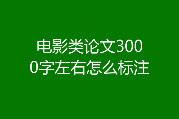电影类论文3000字左右怎么标注